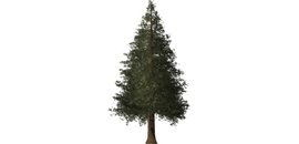 K&C Silviculture Ltd