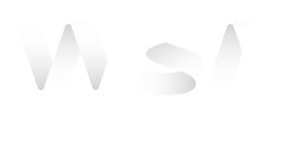 Web Site Advantage Inc.