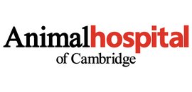 Animal Hospital Of Cambridge