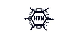 Hvnetworks Inc