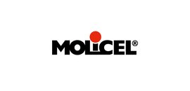 E-One Moli Energy