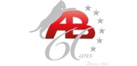 Pavage et Aménagement Paysager Antonio Borsellino inc