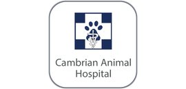 Cambrian Animal Hospital
