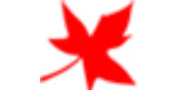Maple Leaf Consultants