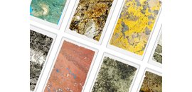 Vancouver Petrographics Ltd