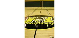 Parquet Deluxe Lasalle Inc