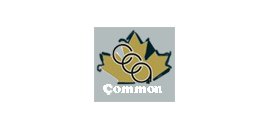 Common Collection Agency Inc