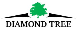 Diamond Tree Accounting Inc