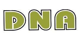 Dna Silk Screening Inc