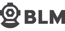 Services Subaquatiques BLM Inc.