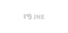 JNE Consulting Ltd.
