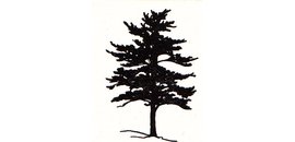 Borealis Horticultural Services