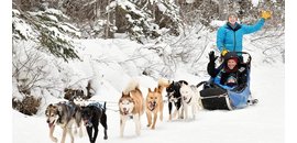 Howling Dog Tours