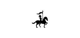 Black Knight Security Ltd