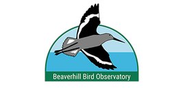 Beaverhill Bird Observatory - Songbirds