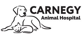 Carnegy Animal Hospital