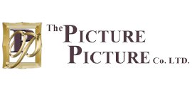 The Picture Picture Company