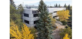 Bds Labs