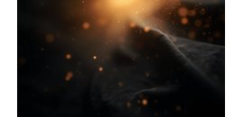 Eight Elm Photo & Video
