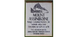 Assiniboine Contracting Ltd.