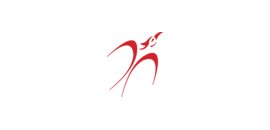 Phoenix SPI Inc.