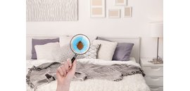 Bugman-Homesmart Plus