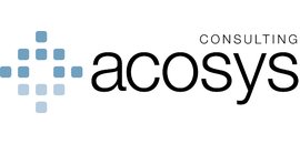 Acosys Consulting Services