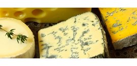 Artisan Cheese Marketing