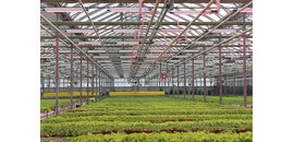 P.L. Light Systems Canada Inc.