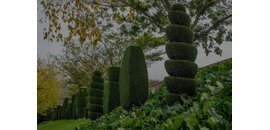 Tree Works