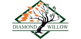 Diamond Willow Mechanical Ltd.