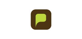 Progressive Staffing Solutions Inc