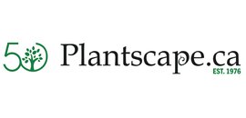 Plantscape