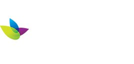 ICapital Financial Services Corp