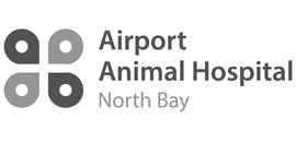 Airport Animal Hospital