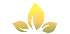 Body Care Clinic