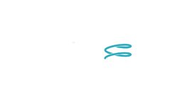 Springs & Things Inc.