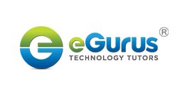 eGurus Technology Tutors