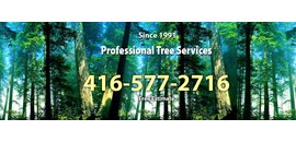 Professional Tree Services