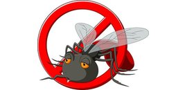 Extermination Montreal Max