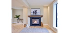 Black Tree Developments Ltd.