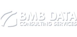 BMB Data Consulting Services Inc.