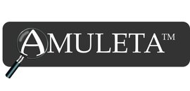 Amuleta Computer Security Inc