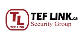 TEF LINK Security Group Inc