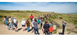 Head-Smashed-In Buffalo Jump