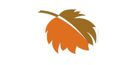 Autumnfire Internet Solutions Inc