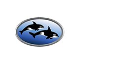 Delta Marine Service Ltd