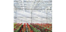 Niagrow Systems Inc