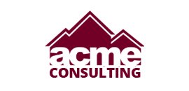 ACME Financial Inc