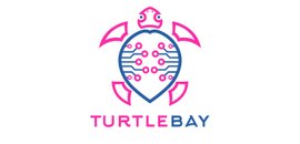 Turtle Bay IT Services